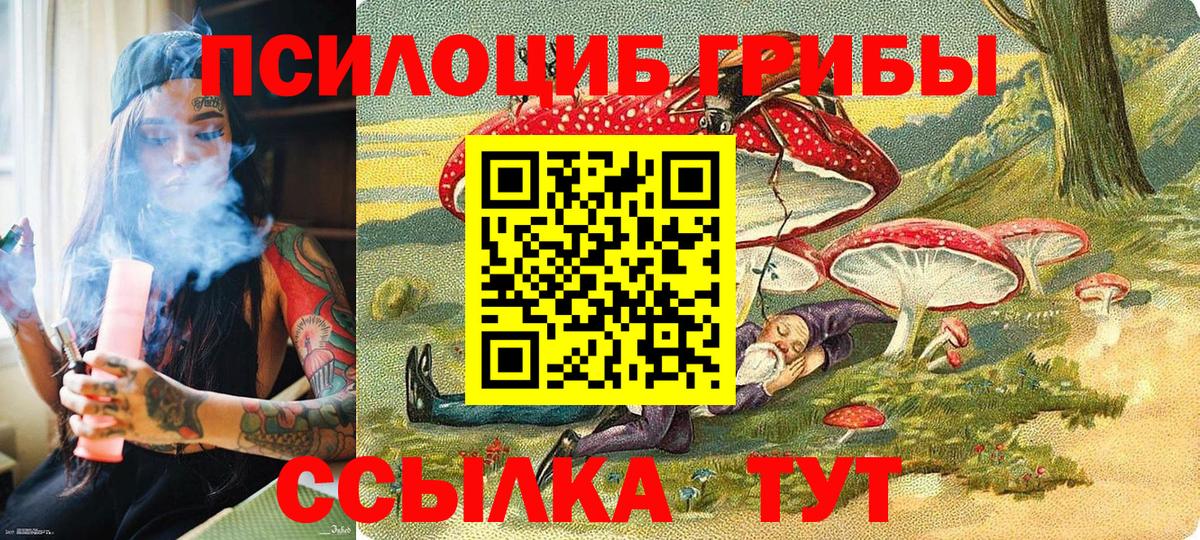 Псилоцибиновые грибы Cubensis Москва