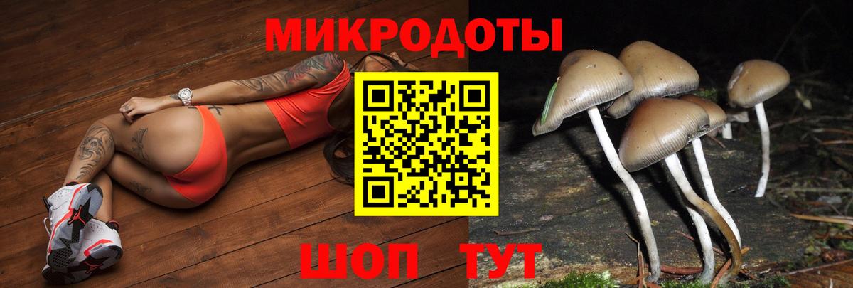 Псилоцибиновые грибы GOLDEN TEACHER  Галлюциногенные грибы GOLDEN TEACHER  Москва  Вход с VPN 